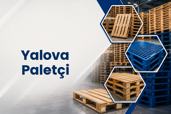 Yalova Paletçi 